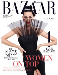 Pierre-Bonnard-mimosa-Orsay-Nice-Nabi-Art