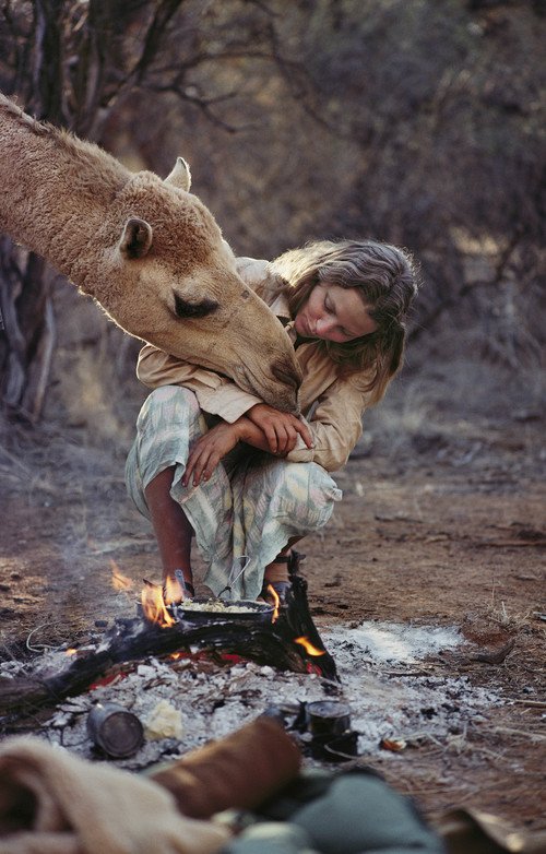 the-camels-treated-robyn-as-the-leader-of-their-herd-and-while-she-appreciated-their-affection-sometimes-it-felt-like-being-nuzzled-by-a-1300-lb-dog-smolan-writes