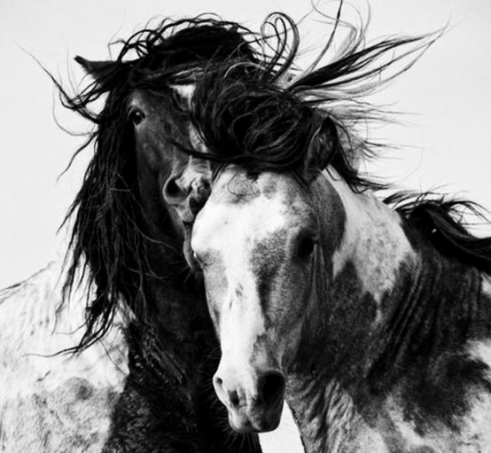 d8f8619acb51d320081ff0f4883e8ccd