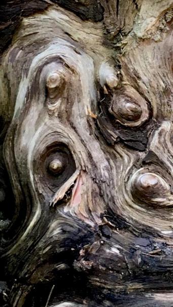 WhatsApp Image 2019-05-31 at 23.04.39